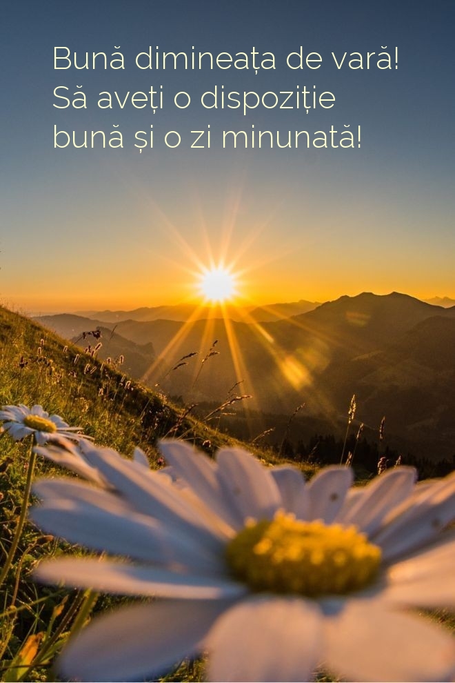 Bună dimineața de vară! Să aveți o dispoziție bună