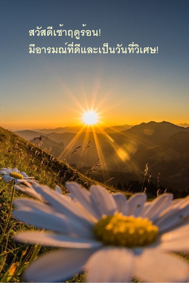 สวัสดีเช้าฤดูร้อน! มีอารมณ์ที่ดีและเป็นวันที่วิเศษ!