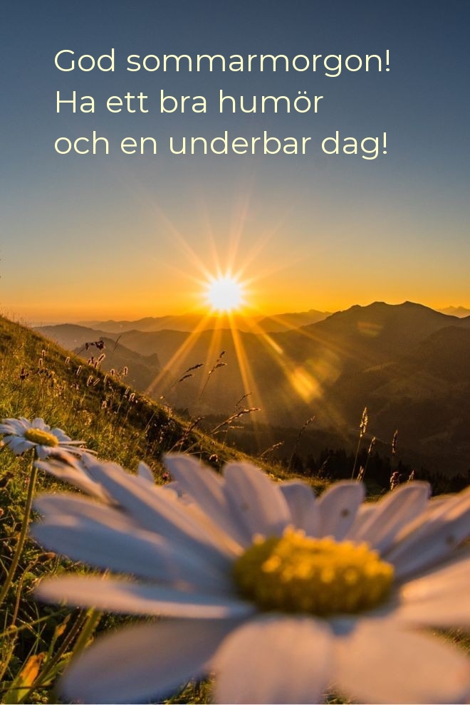 God sommarmorgon! Ha ett bra humör och en underbar dag!