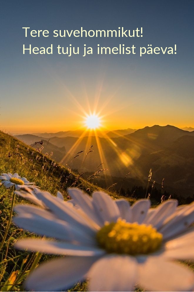 Tere suvehommikut! Head tuju ja imelist päeva!