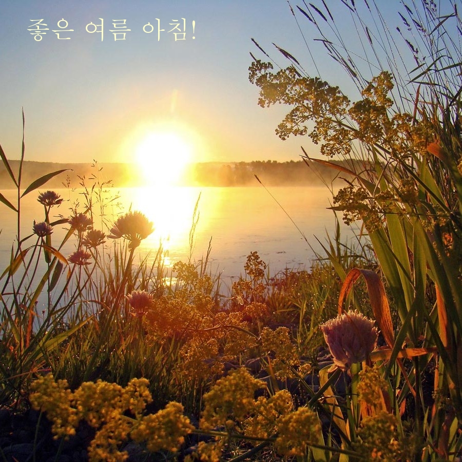좋은 여름 아침!