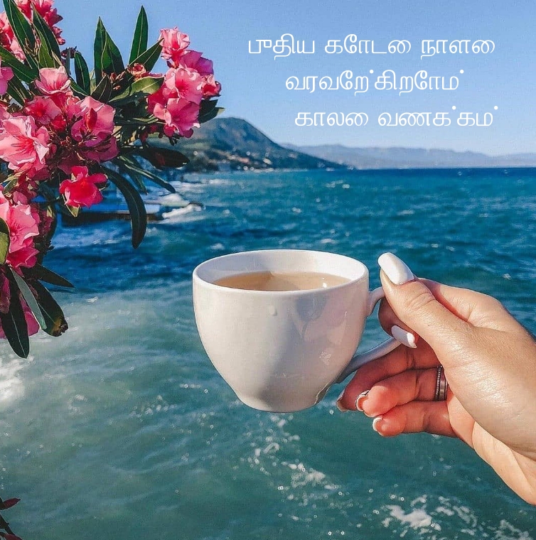 புதிய கோடை நாளை வரவேற்கிறோம்!