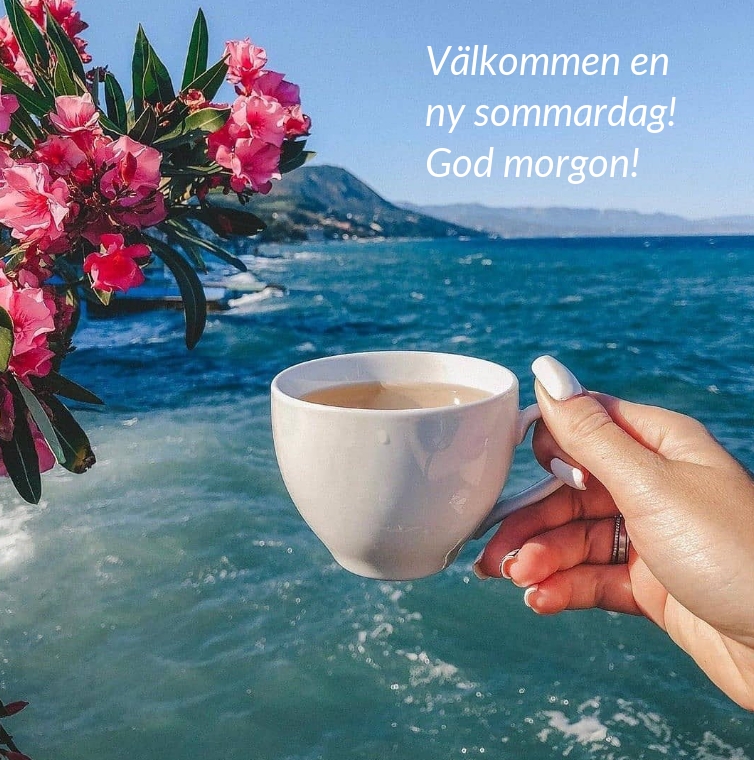 Välkommen en ny sommardag! God morgon!