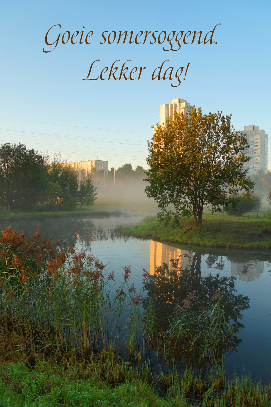 Goeie somersoggend. Lekker dag!