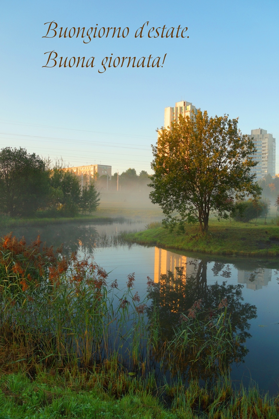 Buongiorno d