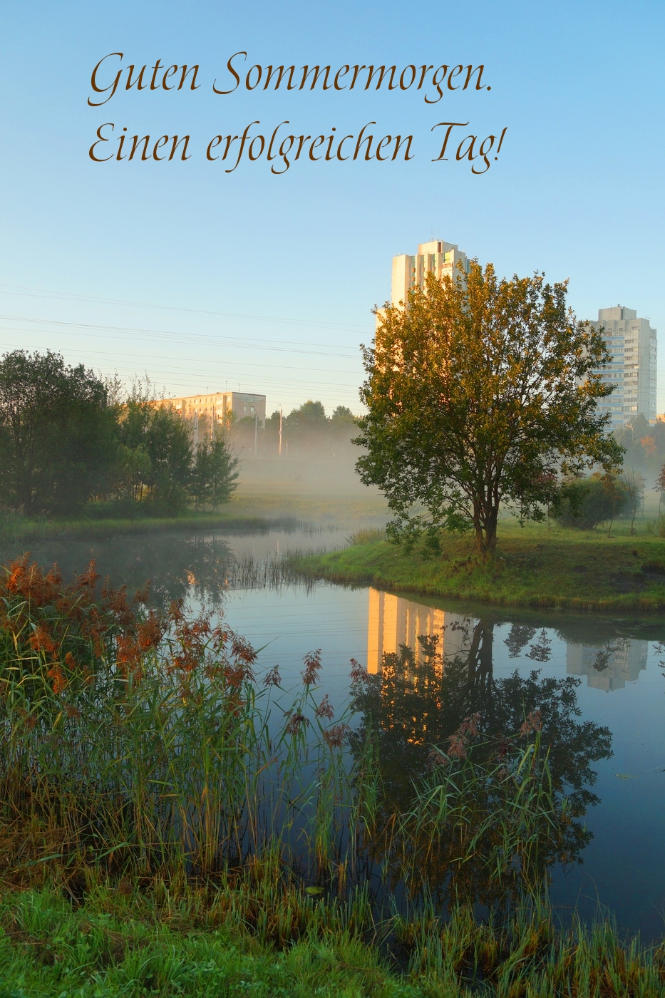 Guten Sommermorgen. Einen erfolgreichen Tag!