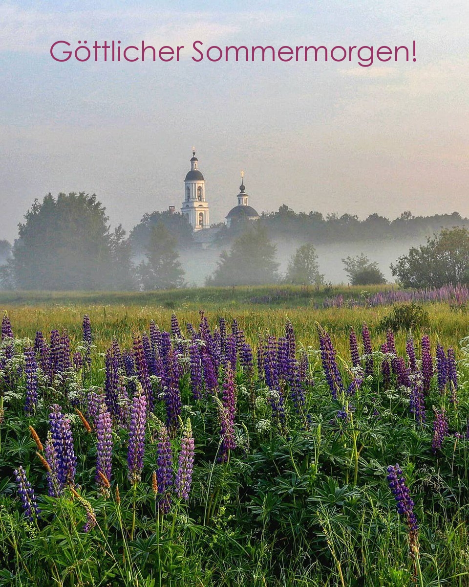 Göttlicher Sommermorgen!
