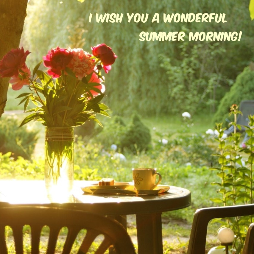 I wish you a wonderful summer morning!