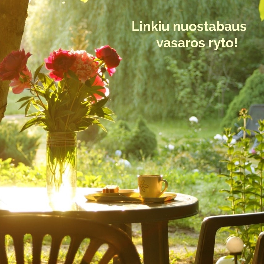 Jeg ønsker deg en fantastisk sommermorgen!