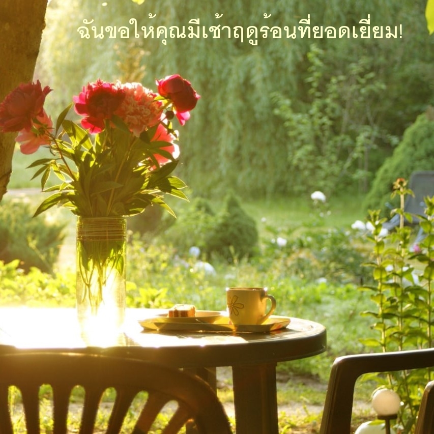 ฉันขอให้คุณมีเช้าฤดูร้อนที่ยอดเยี่ยม!