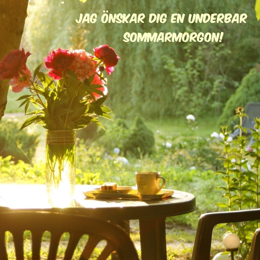 Jag önskar dig en underbar sommarmorgon!