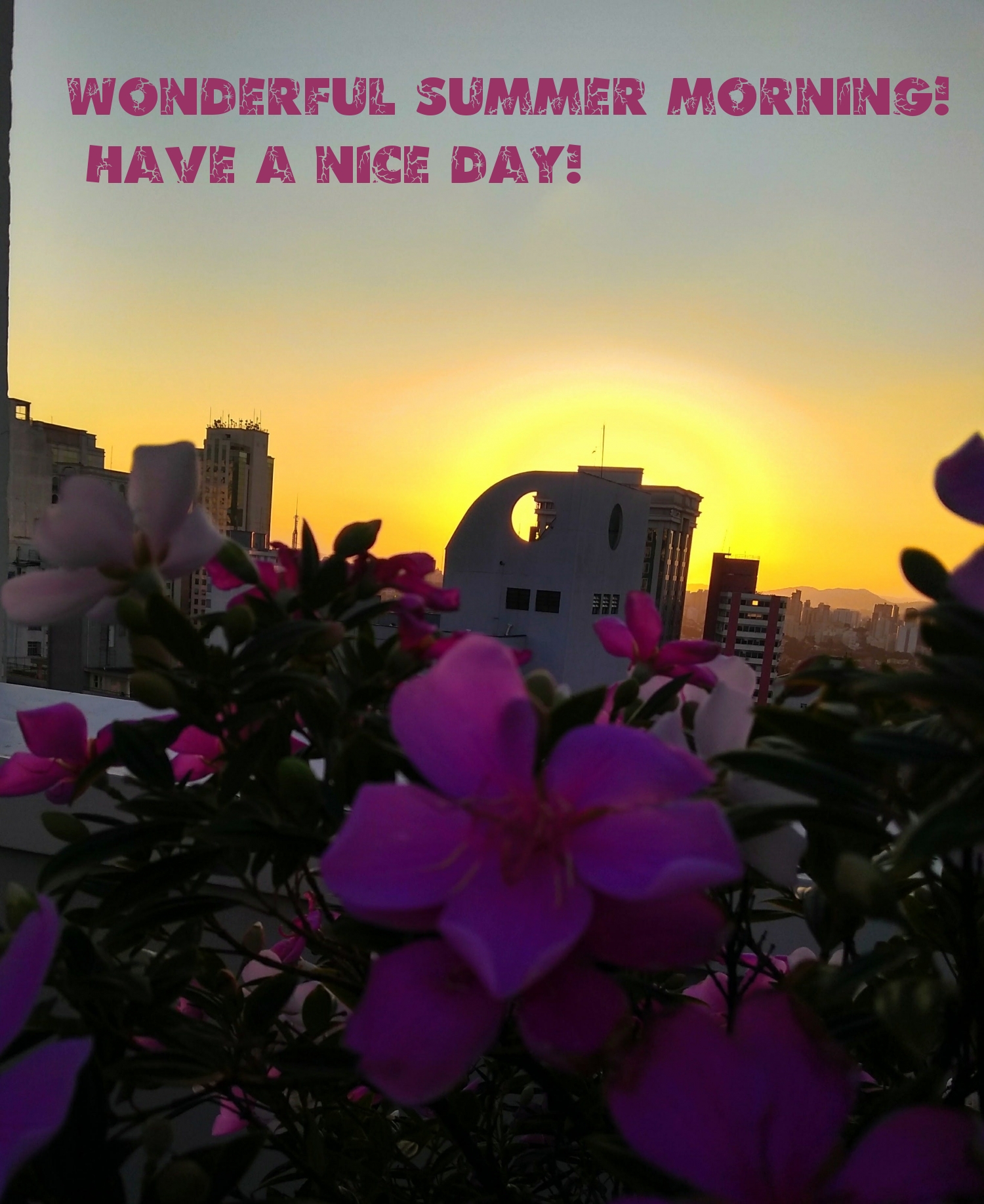 Wonderful summer morning! Have a nice day!