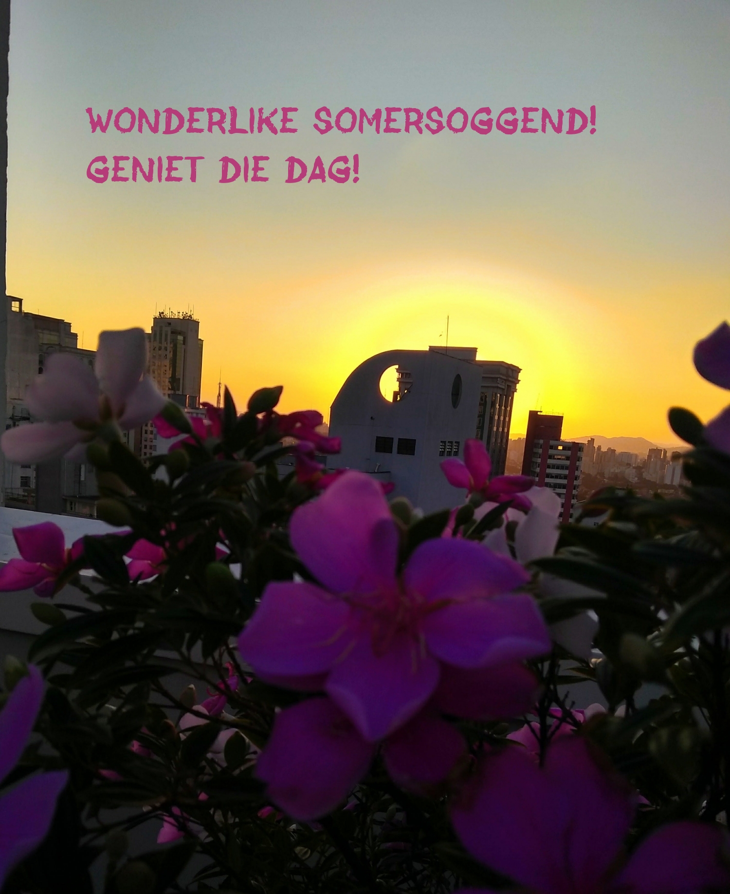 Wonderlike somersoggend! Geniet die dag!