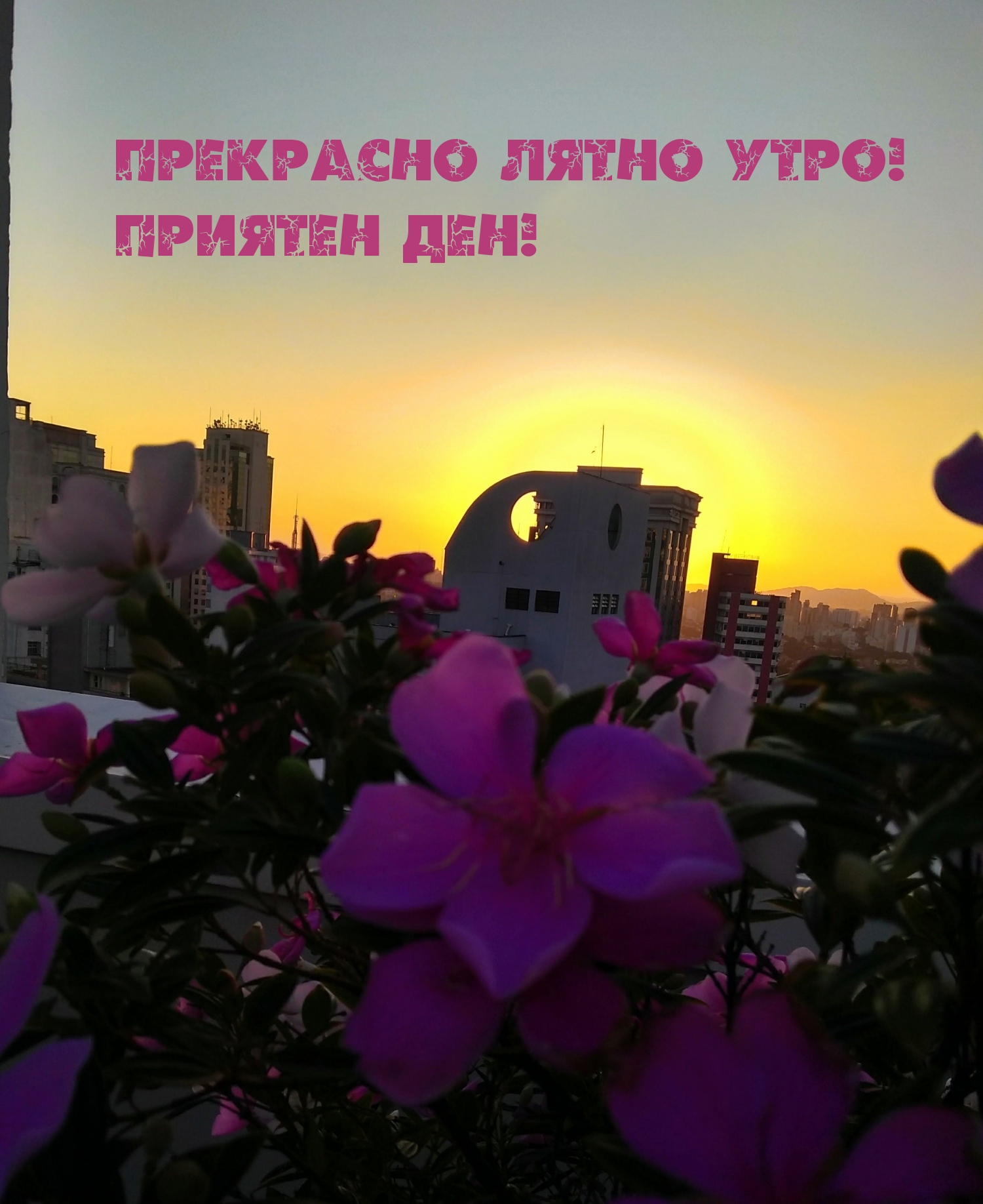 Прекрасно лятно утро! Приятен ден!