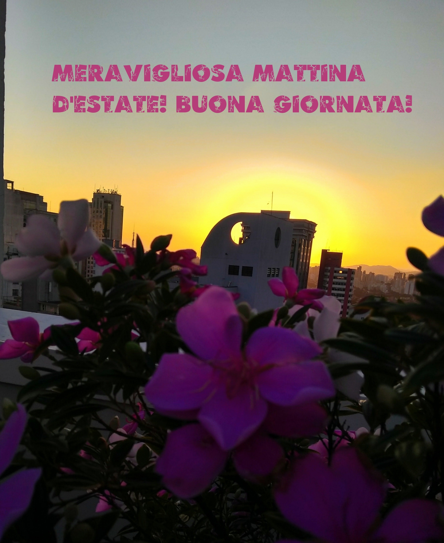 Meravigliosa mattina d
