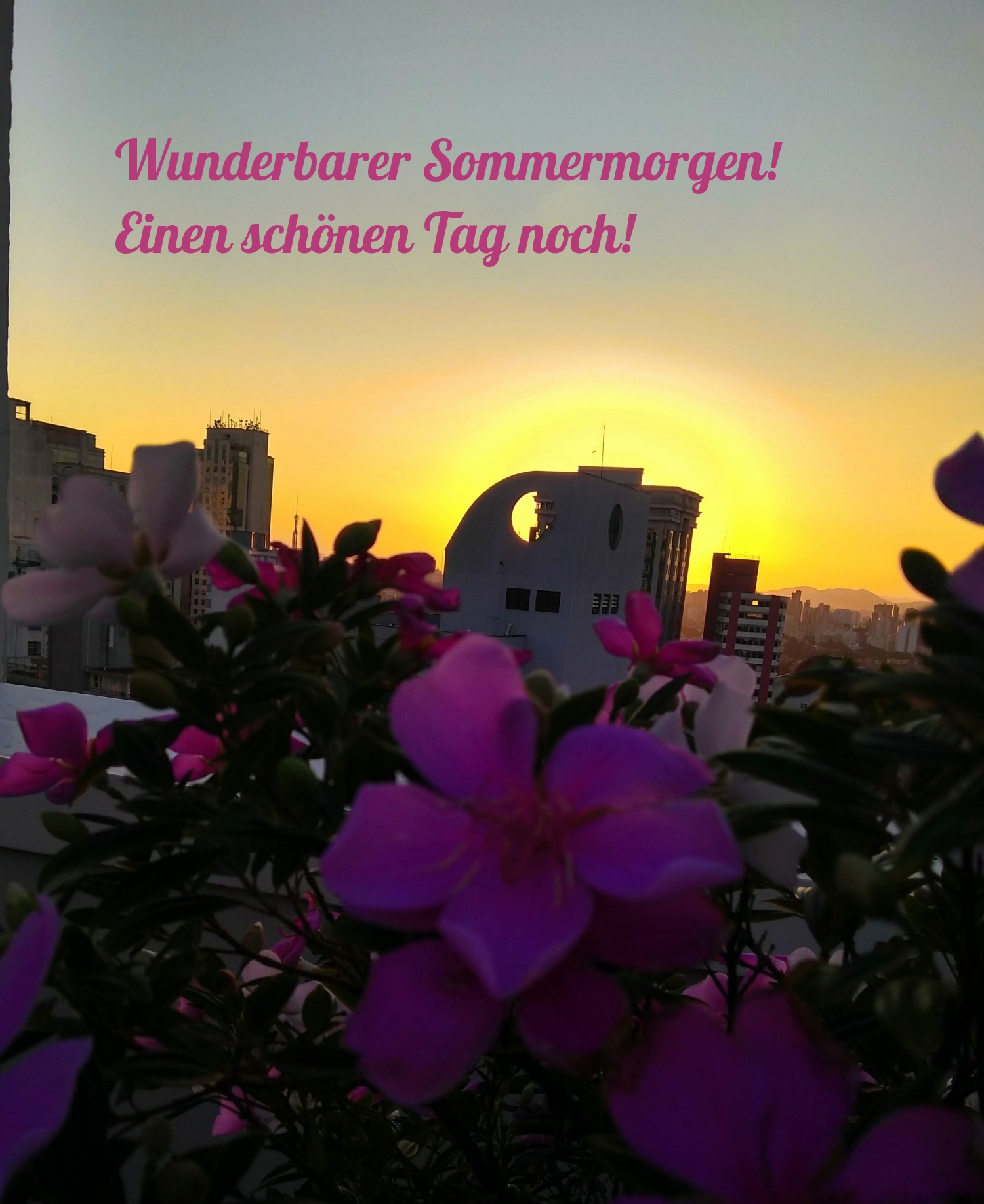 Wunderbarer Sommermorgen! Einen schönen Tag noch!