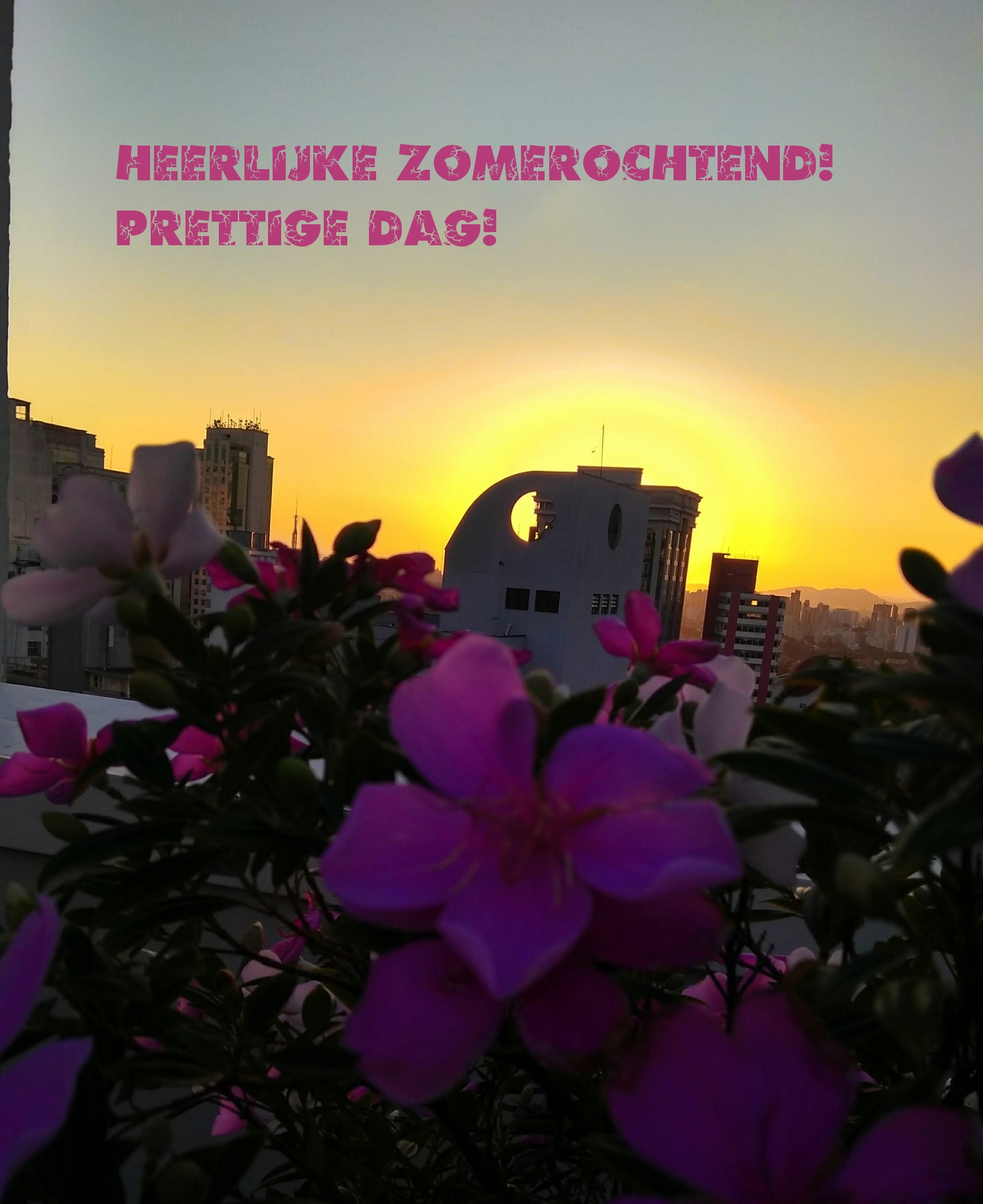 Heerlijke zomerochtend! Prettige dag!