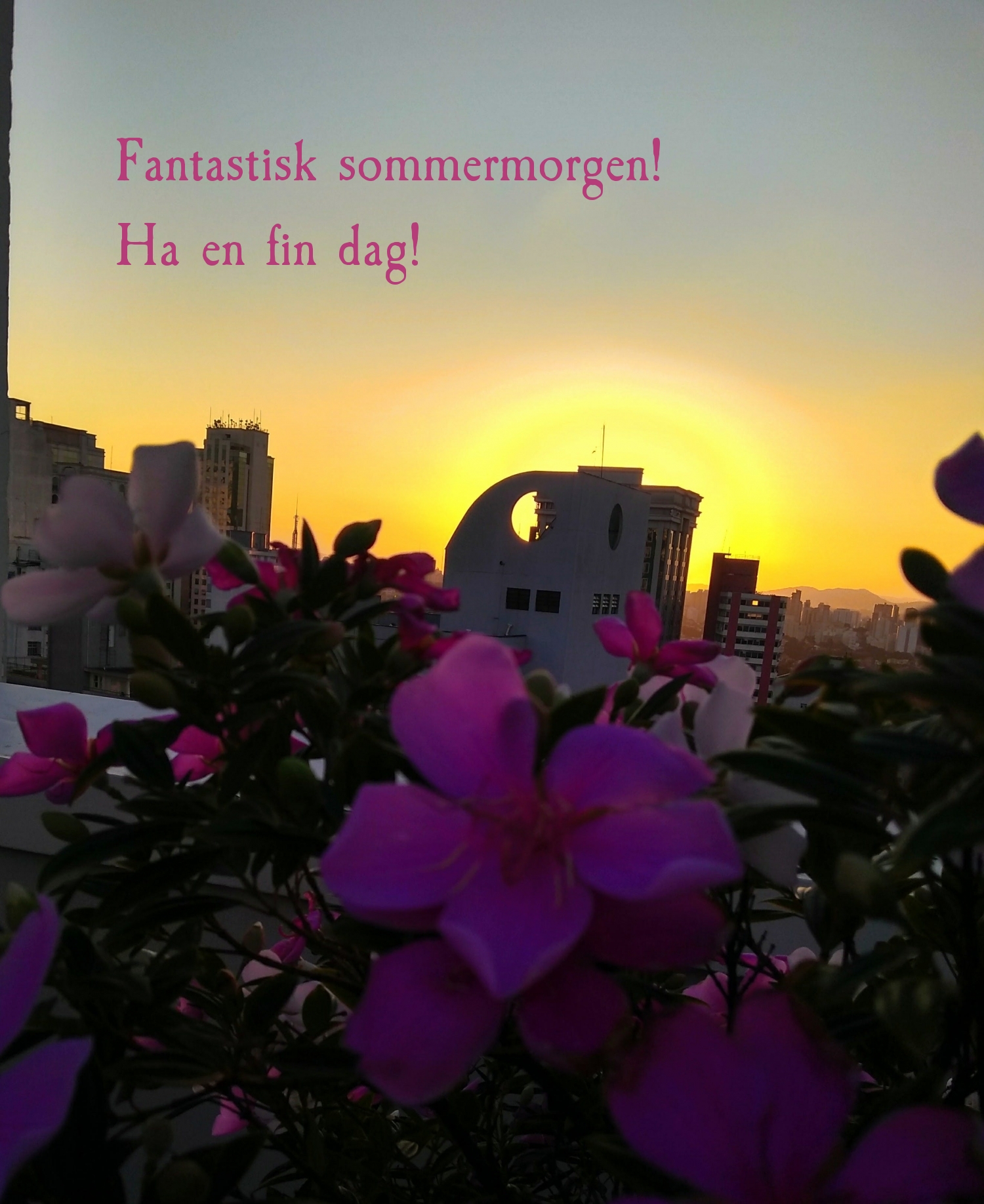 Fantastisk sommermorgen! Ha en fin dag!