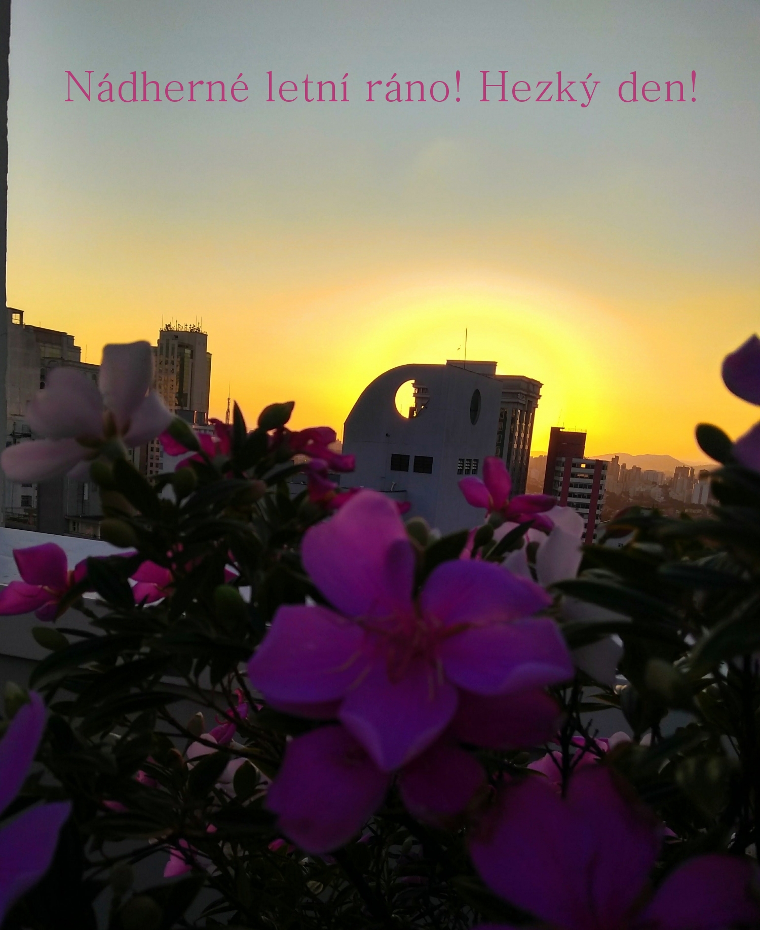 Nádherné letní ráno! Hezký den!