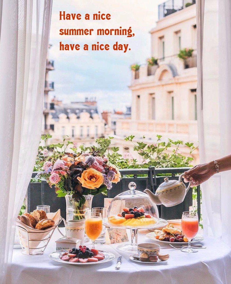 Have a nice summer morning, have a nice day.