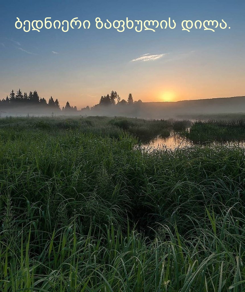 ბედნიერი ზაფხულის დილა.