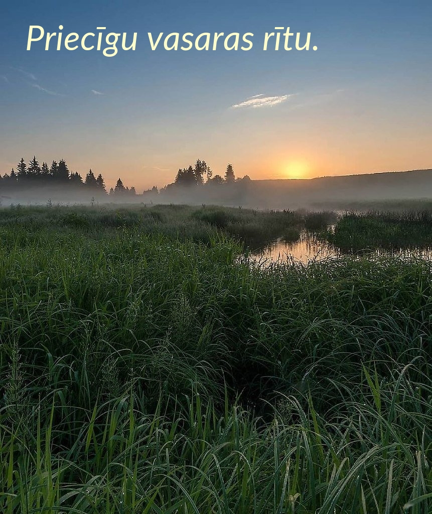 Gražaus vasaros ryto.