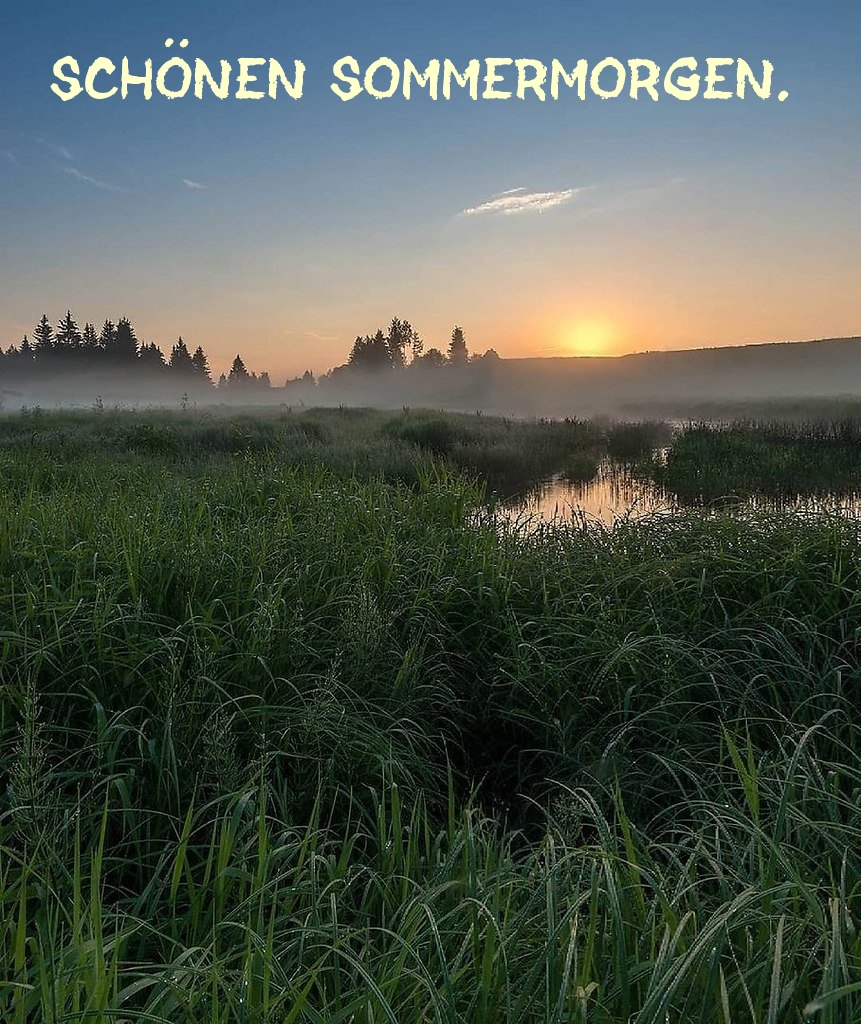 Schönen Sommermorgen.