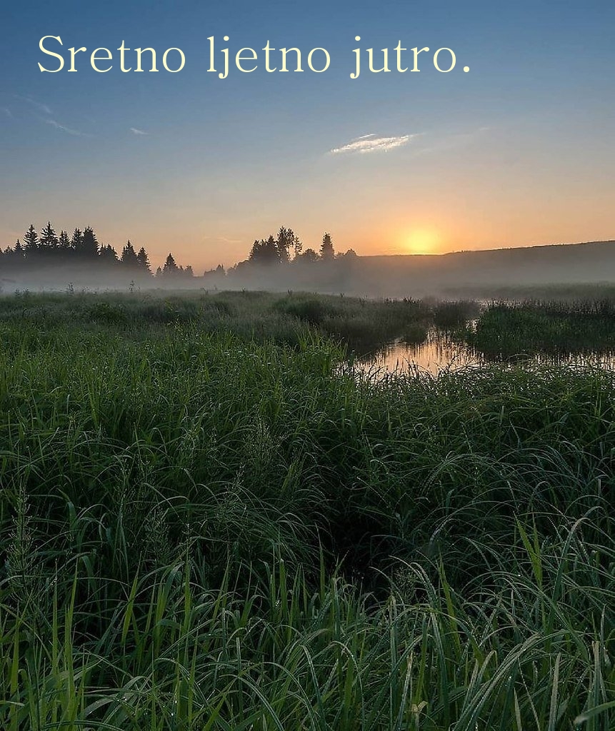 Sretno ljetno jutro.