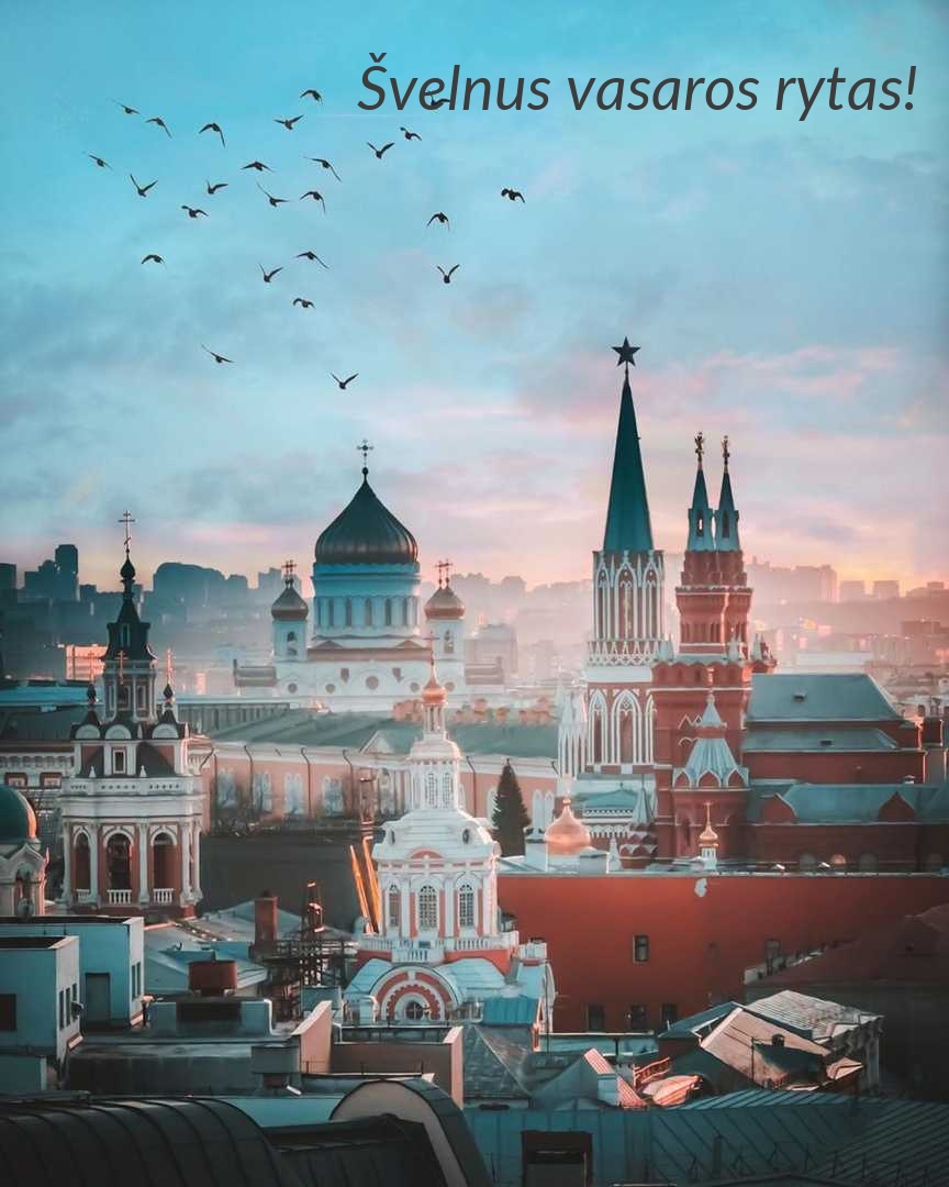 Švelnus vasaros rytas!