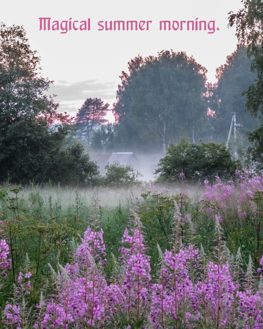 Magical summer morning.