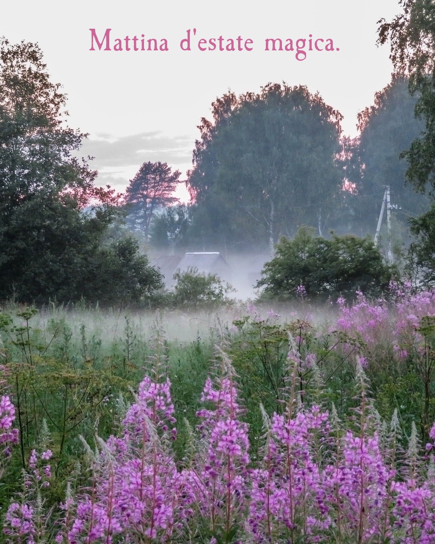 Mattina d