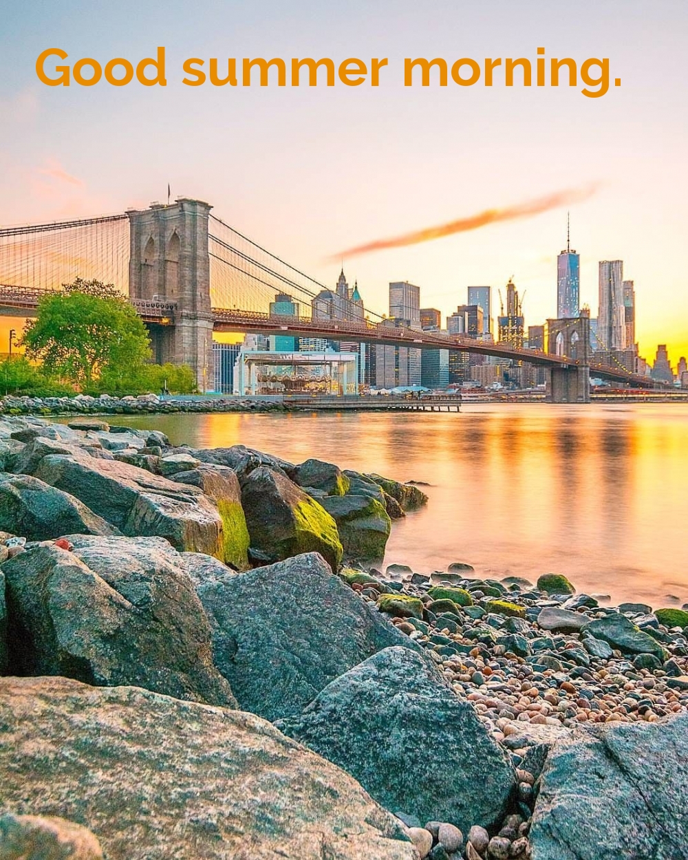 Good summer morning.