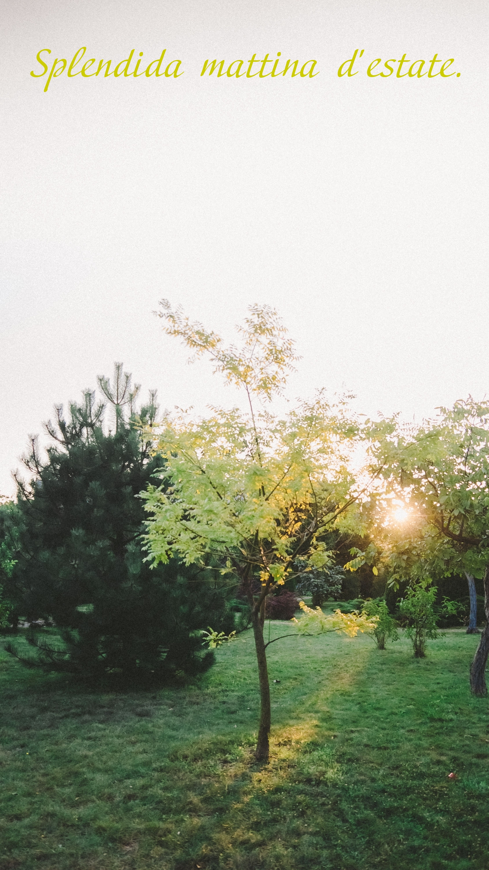 Splendida mattina d