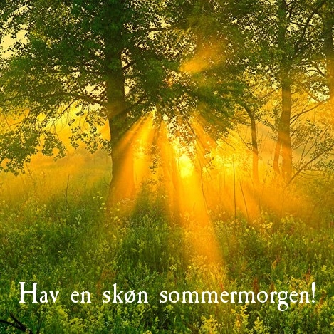 Hav en skøn sommermorgen!