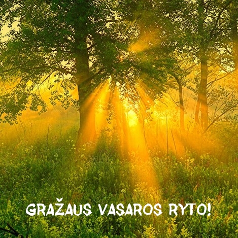 Gražaus vasaros ryto!