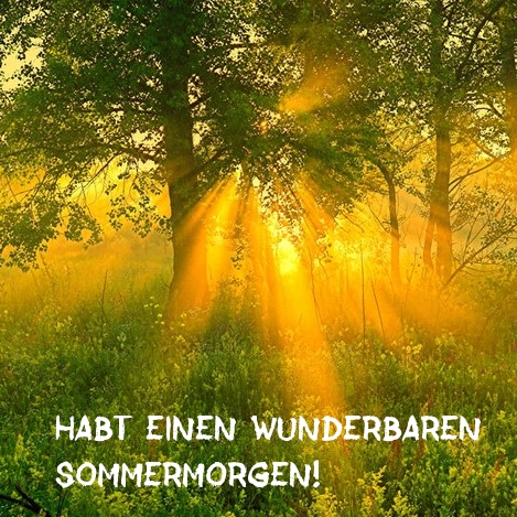 Habt einen wunderbaren Sommermorgen!