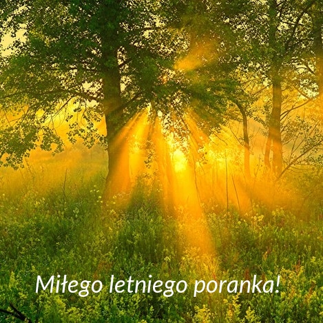 Miłego letniego poranka!