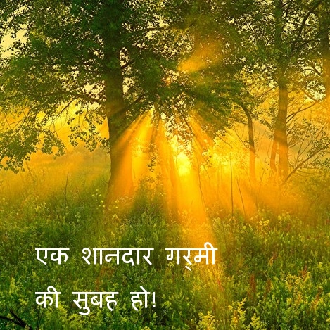 एक शानदार गर्मी की सुबह हो!