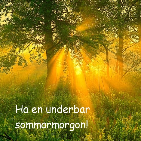 Ha en underbar sommarmorgon!