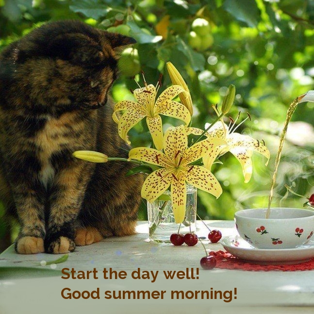 Start the day well! Good summer morning!