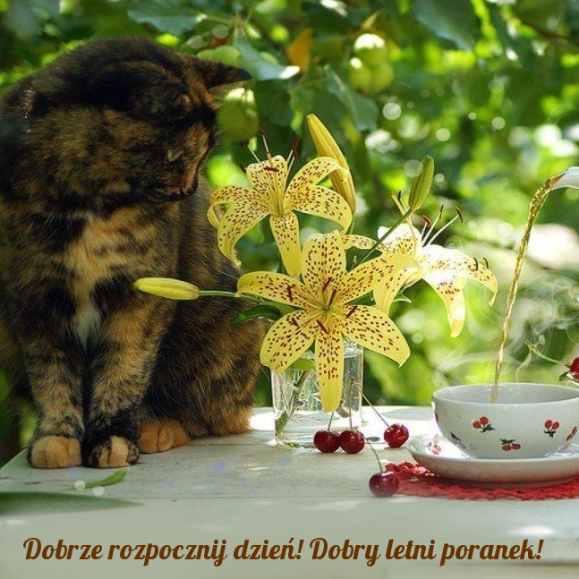 Dobrze rozpocznij dzień! Dobry letni poranek!