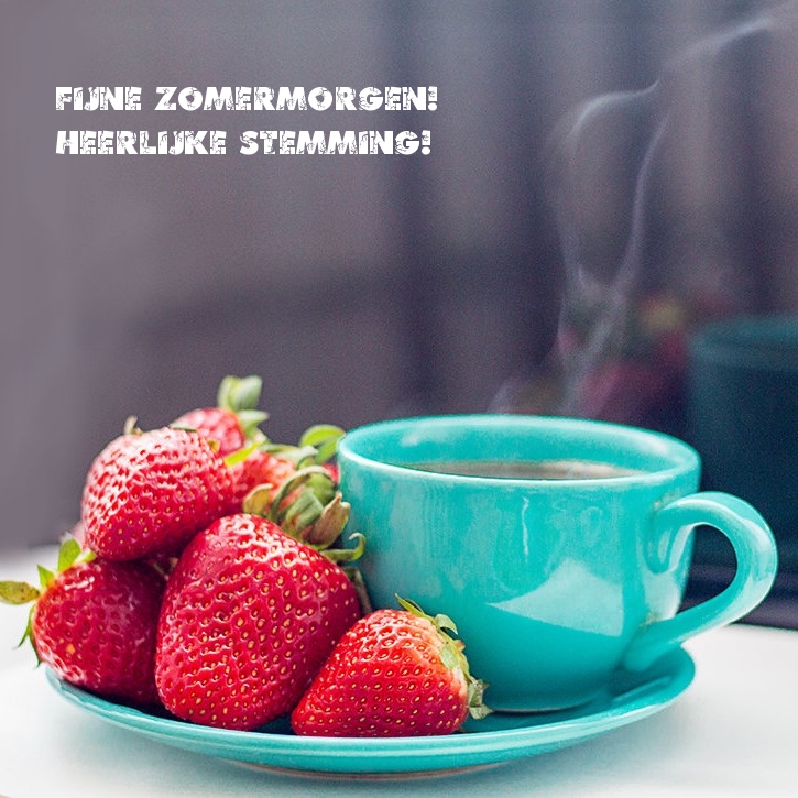 Fijne zomermorgen! Heerlijke stemming!