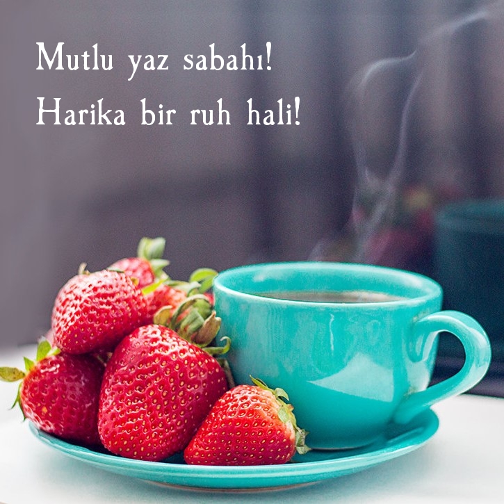 Mutlu yaz sabahı! Harika bir ruh hali!