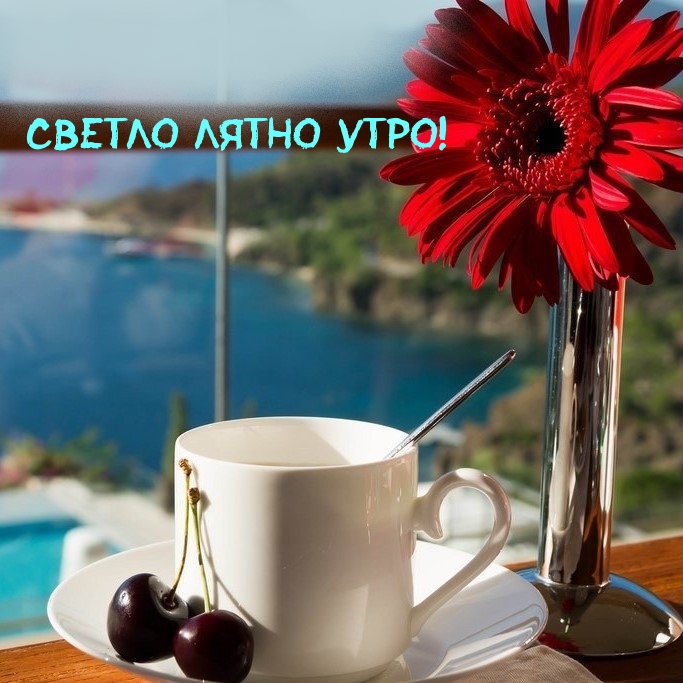Светло лятно утро!