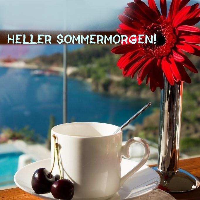 Heller Sommermorgen!