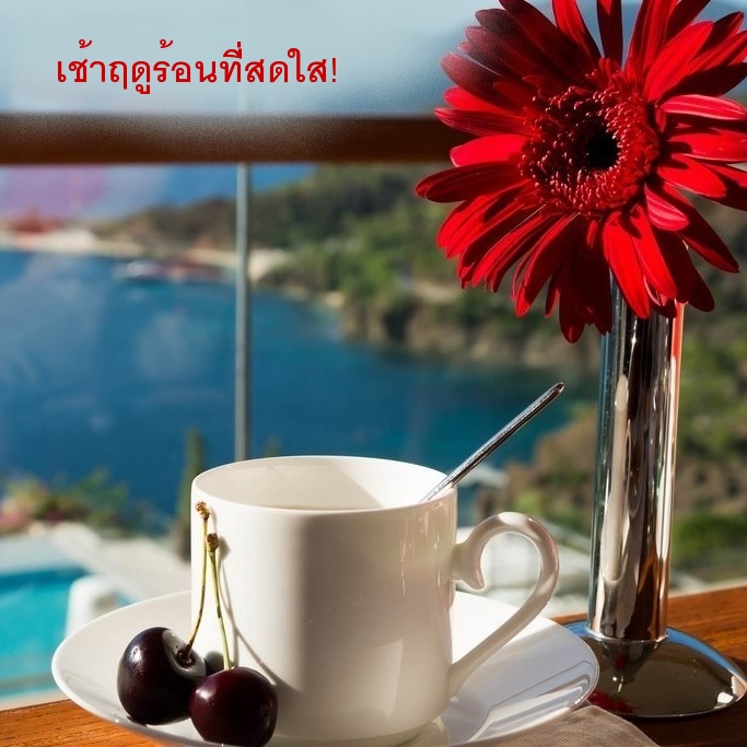 เช้าฤดูร้อนที่สดใส!