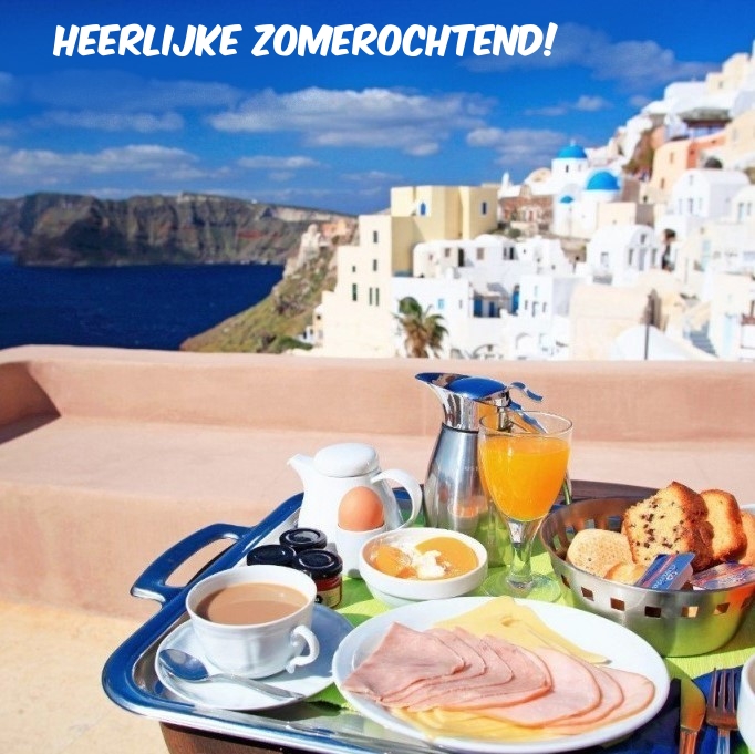Heerlijke zomerochtend! Heerlijke zomerochtend!
