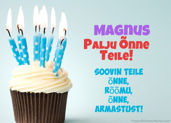 Palju õnne Magnus Palju õnne Magnus