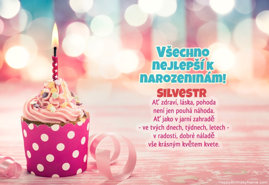 Stáhněte si všechno nejlepší k narozeninám Silvestr zdarma Stáhněte si všechno nejlepší k narozeninám Silvestr zdarma